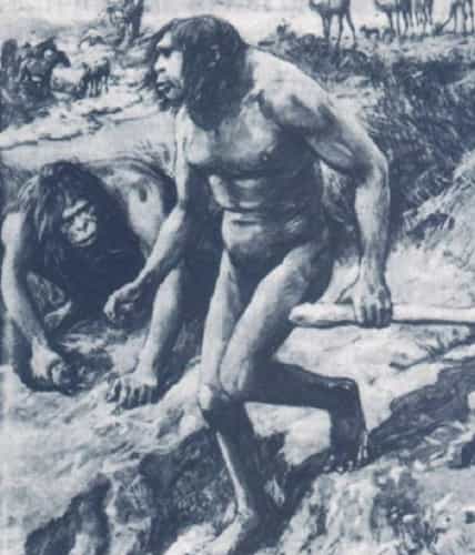 Evolution of Man – Ape to Human 8 Nebraska Man from 1922 London News