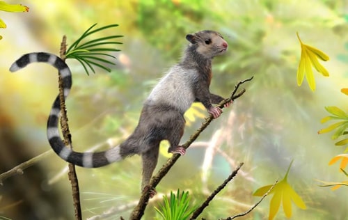 Jurassic Squirrel Depiction