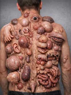 Vestigial Organs 4 Vestigial Organs on Human Back